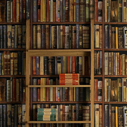 Fiction