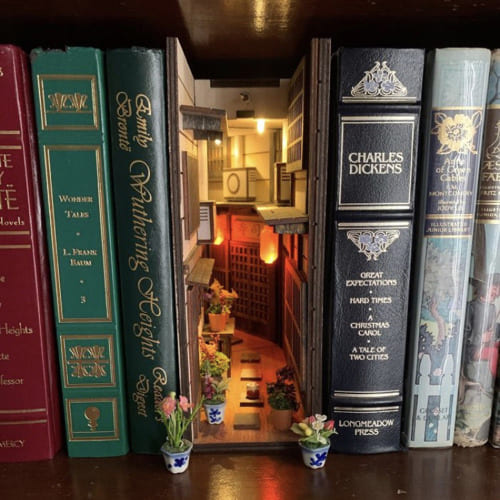 BookHaven History